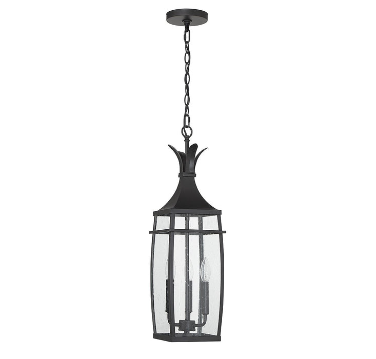 Savoy House 5-763-BK Three Light Outdoor Hanging Lantern, Matte Black