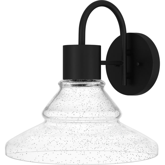 Quoizel FLX8414MBK LED Outdoor Lantern, Matte Black