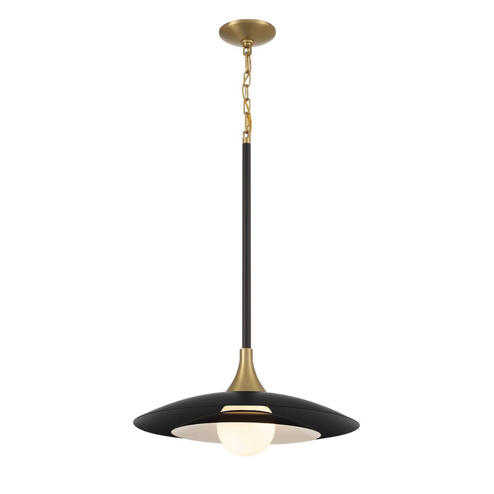 Eurofase 46441-041 LED Pendant, Black
