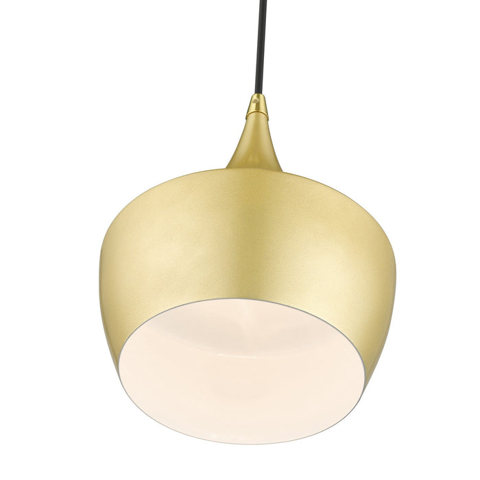 Livex Lighting 41186-33 One Light Pendant, Soft Gold with Polished Brass