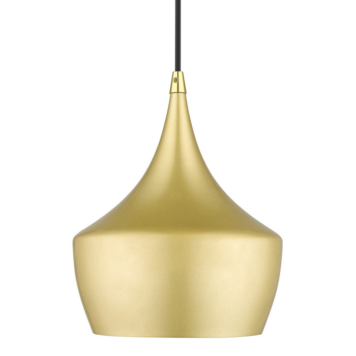 Livex Lighting 41186-33 One Light Pendant, Soft Gold with Polished Brass