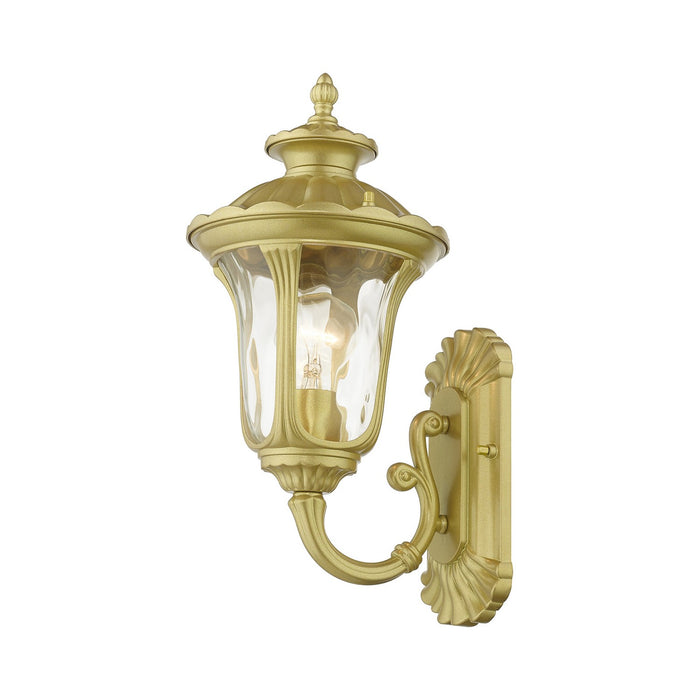 Livex Lighting 7850-33 One Light Outdoor Wall Lantern, Soft Gold