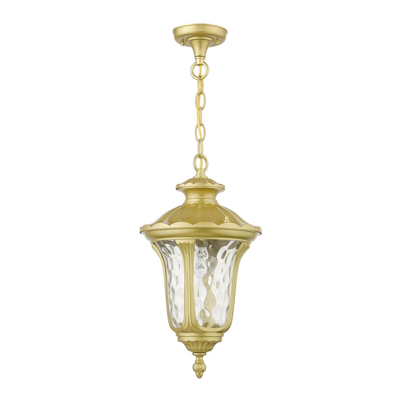 Livex Lighting 7854-33 One Light Outdoor Pendant, Soft Gold