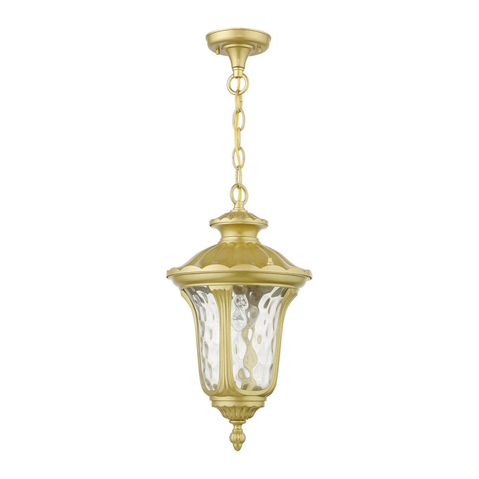 Livex Lighting 7854-33 One Light Outdoor Pendant, Soft Gold