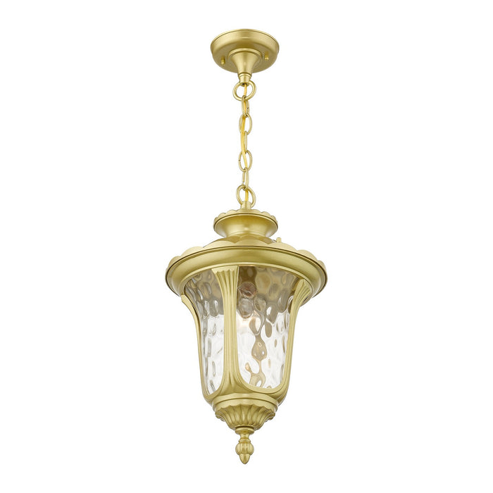Livex Lighting 7854-33 One Light Outdoor Pendant, Soft Gold