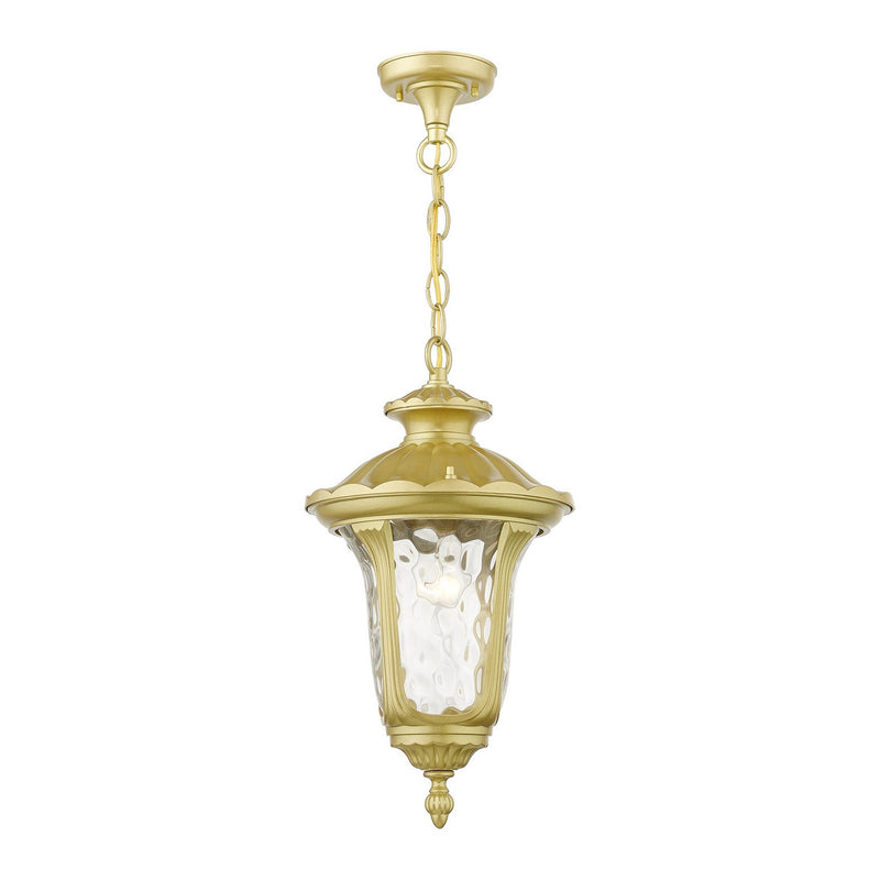 Livex Lighting 7854-33 One Light Outdoor Pendant, Soft Gold