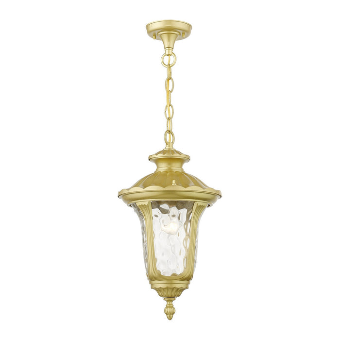 Livex Lighting 7854-33 One Light Outdoor Pendant, Soft Gold