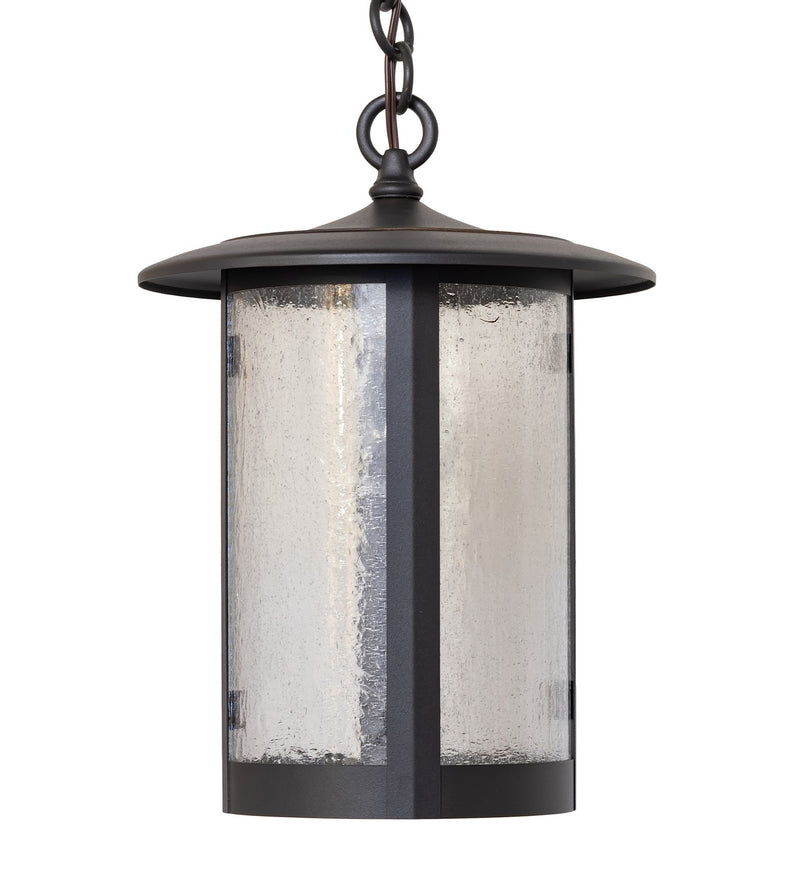 Meyda Tiffany 261875 One Light Pendant, Wrought Iron