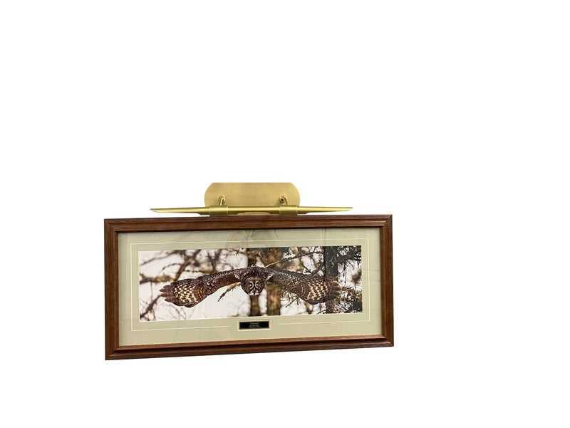 House of Troy DHALED24-NTB LED Picture Light, Natural Brass
