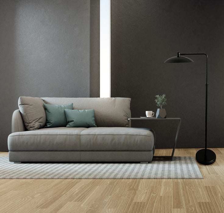 House of Troy RL200-BLK LED Floor Lamp, Black