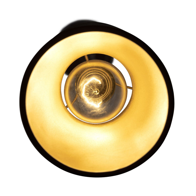 Varaluz 390M01MBFG One Light Mini Pendant, Matte Black/French Gold