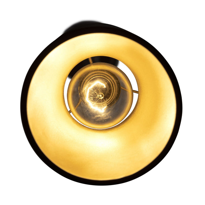 Varaluz 390M01MBFG One Light Mini Pendant, Matte Black/French Gold