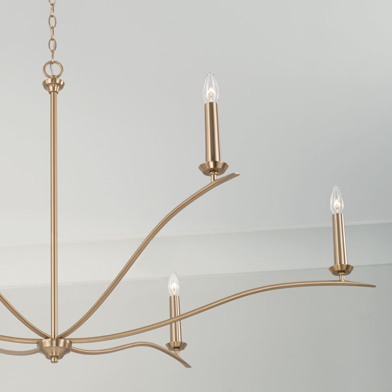 Capital Lighting 450661MA Six Light Chandelier, Matte Brass