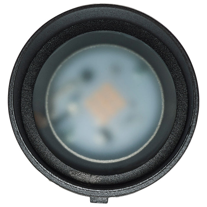 Nuvo Lighting 62-1198 LED Flood Light, Matte Black
