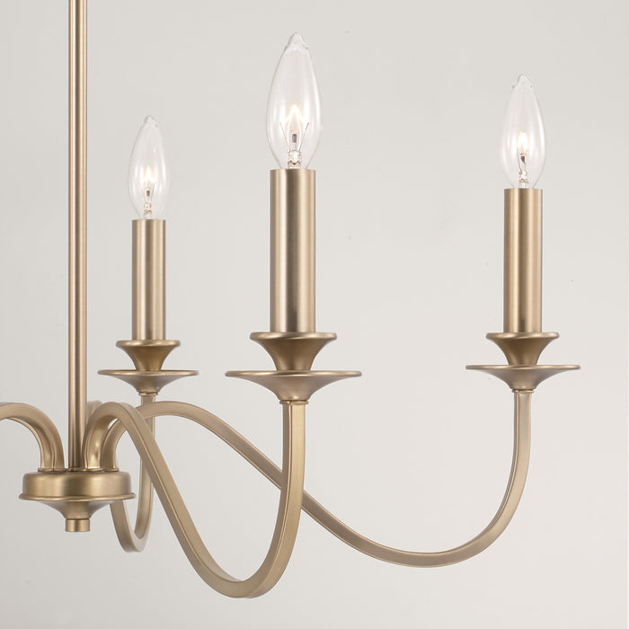 Capital Lighting AA1023MA Five Light Chandelier, Matte Brass