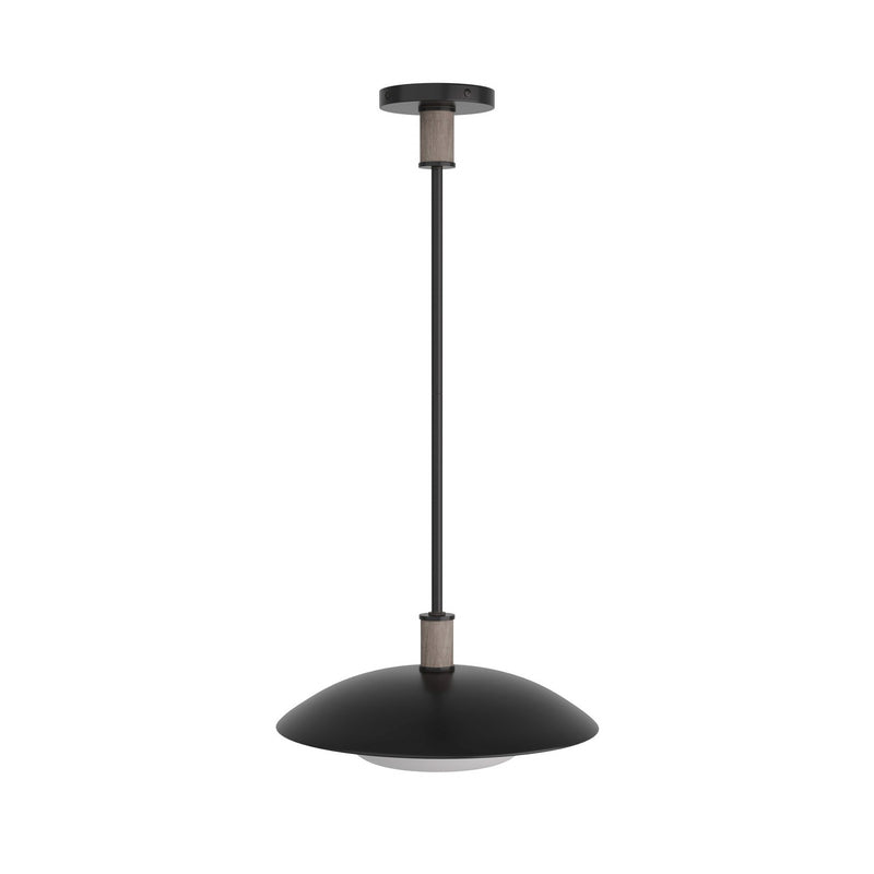 Arteriors DSI03 One Light Pendant, Blackened Iron
