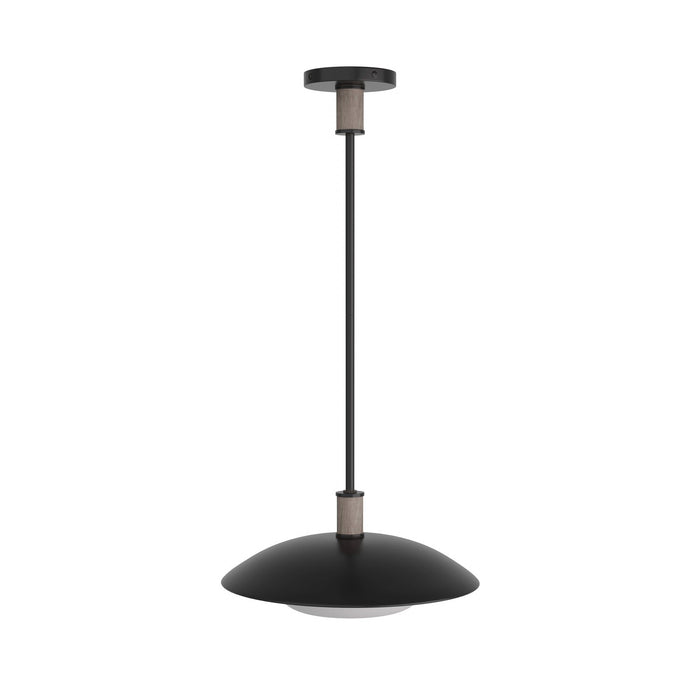 Arteriors DSI03 One Light Pendant, Blackened Iron