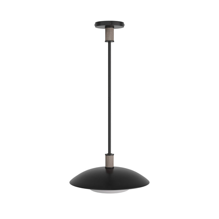 Arteriors DSI03 One Light Pendant, Blackened Iron