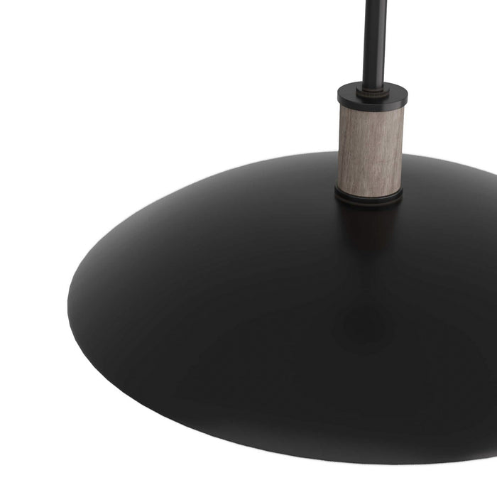 Arteriors DSI03 One Light Pendant, Blackened Iron