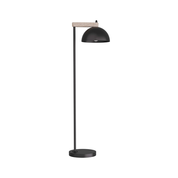 Arteriors PFI03 One Light Floor Lamp, Blackened Iron