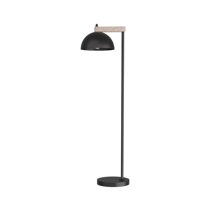 Arteriors PFI03 One Light Floor Lamp, Blackened Iron