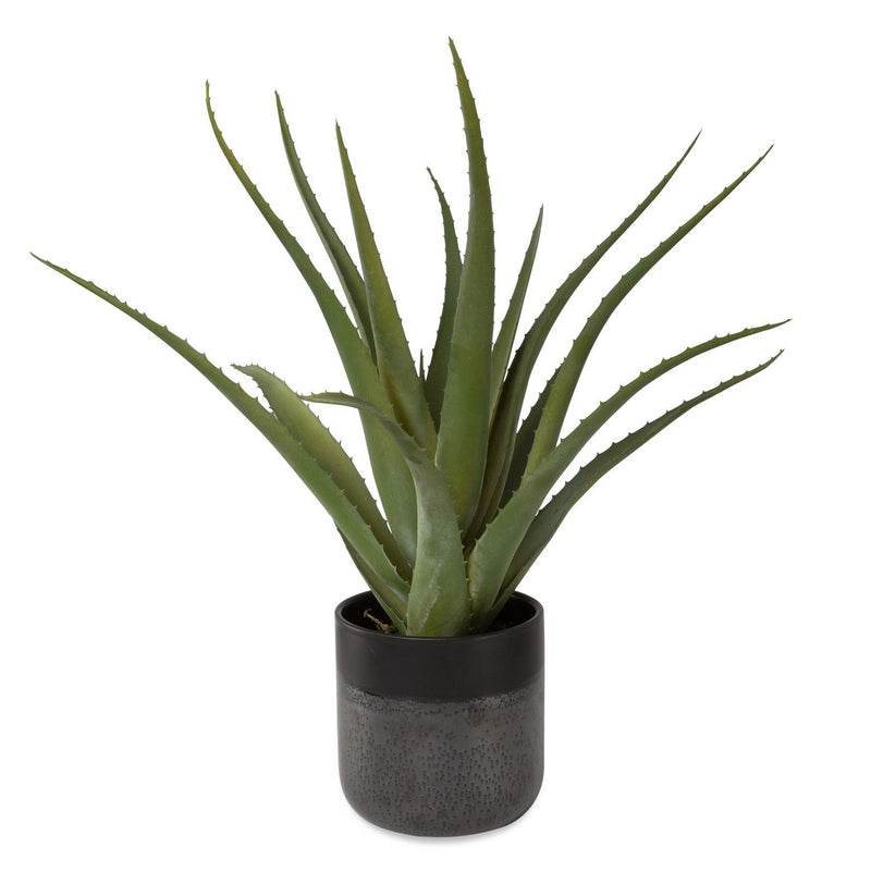 Uttermost 60204 Planter, Textured, Matte And Gloss Glazes
