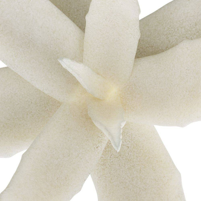Arteriors ASC12 Sculpture, Ivory