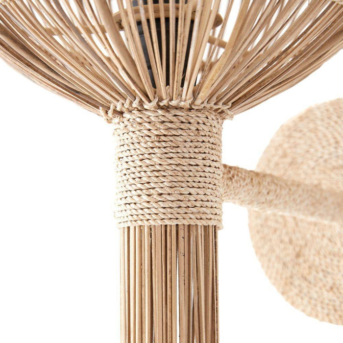 Arteriors DWS03 Wall Sconce, Natural Coco Midrib