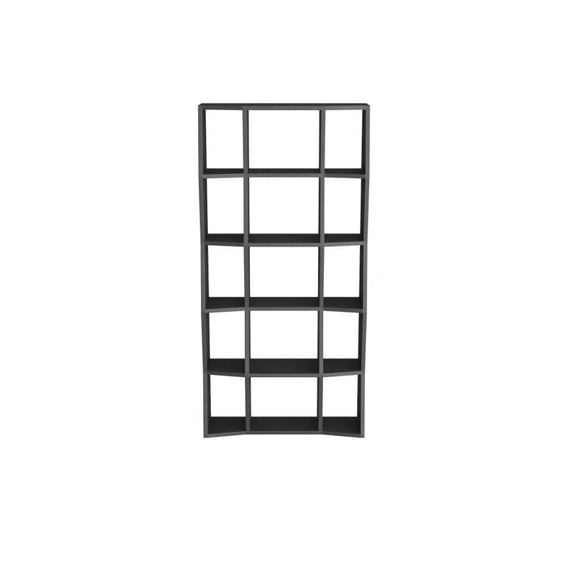 Arteriors FGS03 Bookcase, Ebony