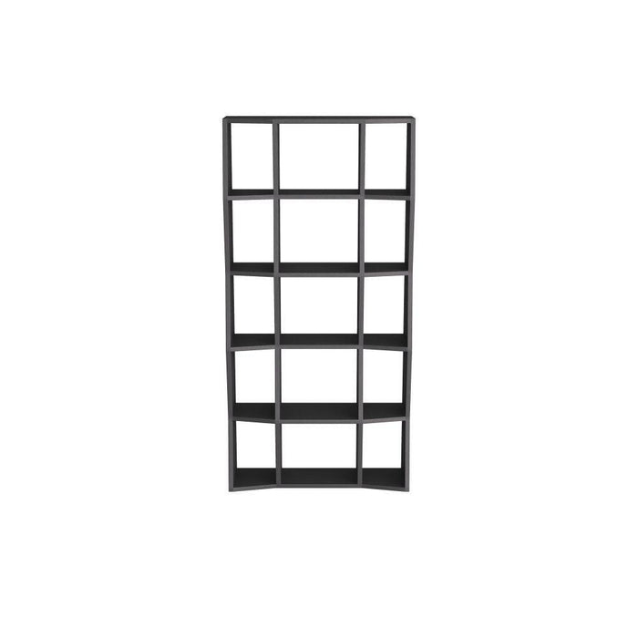 Arteriors FGS03 Bookcase, Ebony