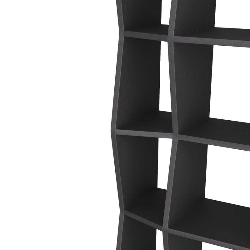 Arteriors FGS03 Bookcase, Ebony
