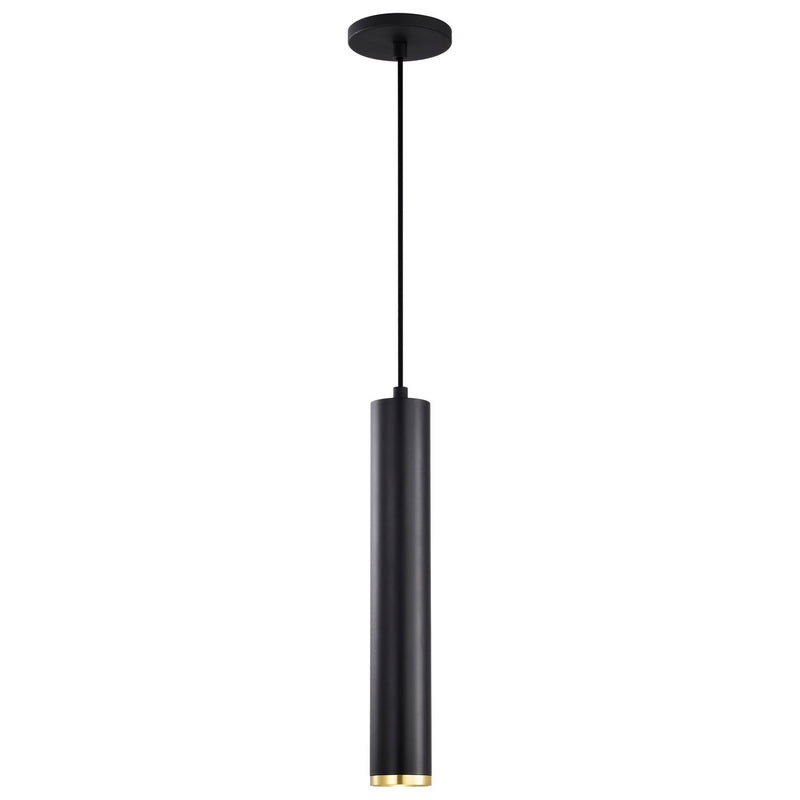 Nuvo Lighting 62-818 LED Pendant, Matte Black / Brushed Brass