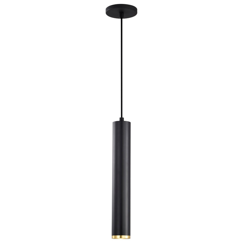 Nuvo Lighting 62-818 LED Pendant, Matte Black / Brushed Brass