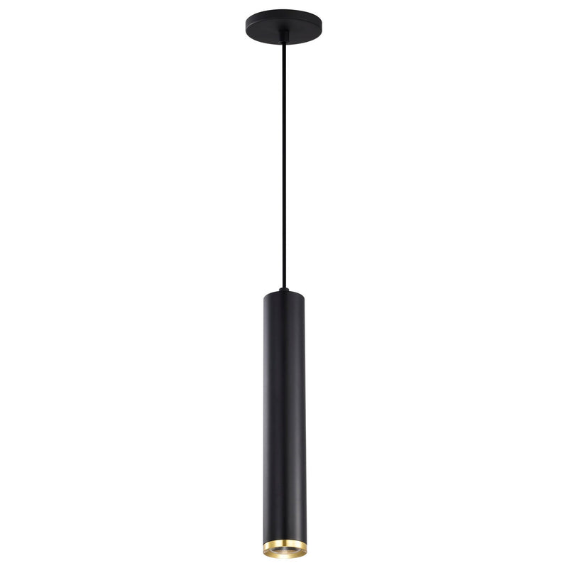Nuvo Lighting 62-818 LED Pendant, Matte Black / Brushed Brass