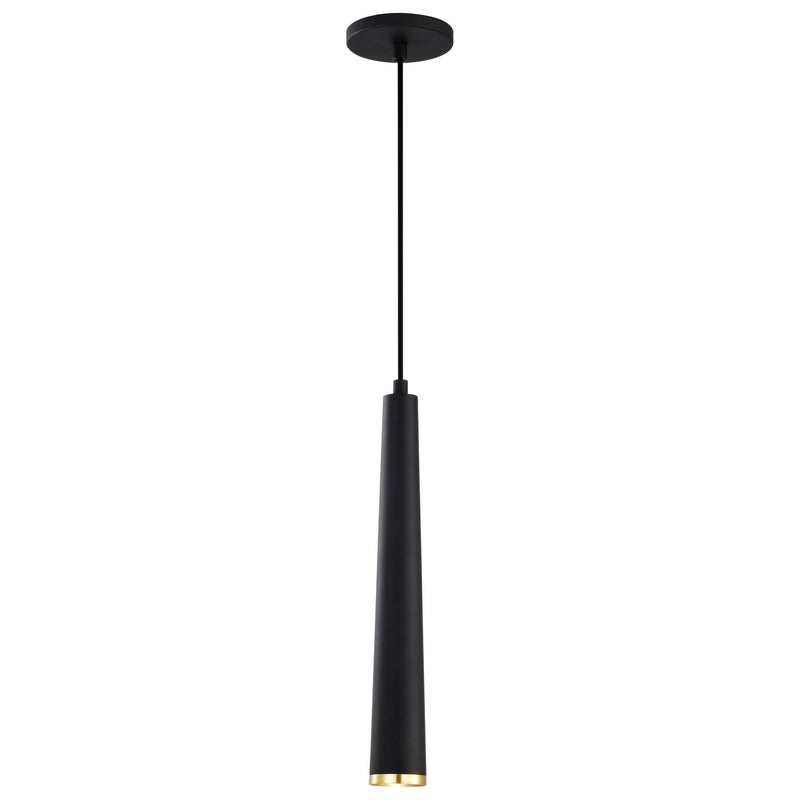 Nuvo Lighting 62-828 LED Pendant, Matte Black / Brushed Brass