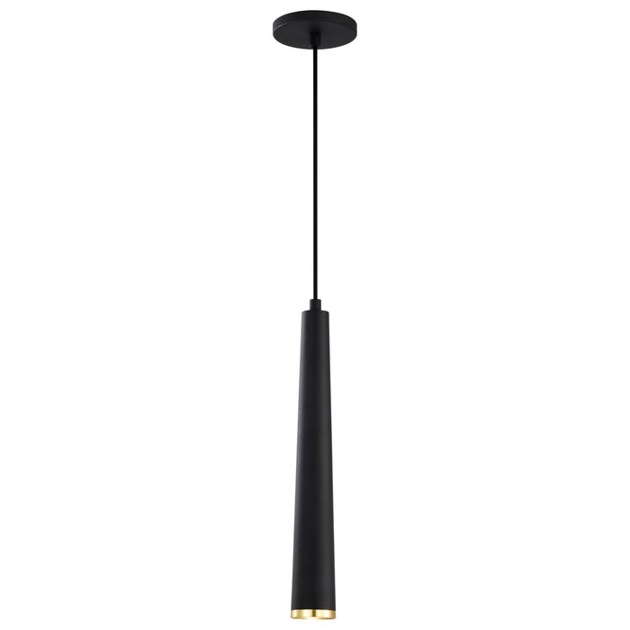 Nuvo Lighting 62-828 LED Pendant, Matte Black / Brushed Brass