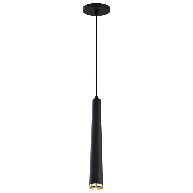 Nuvo Lighting 62-828 LED Pendant, Matte Black / Brushed Brass