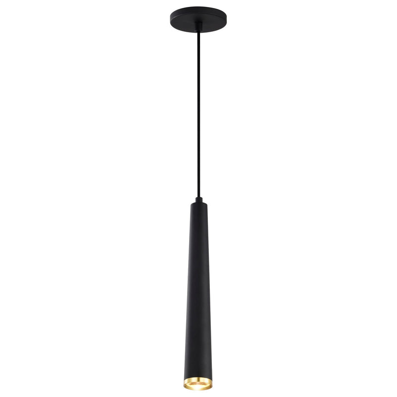 Nuvo Lighting 62-828 LED Pendant, Matte Black / Brushed Brass