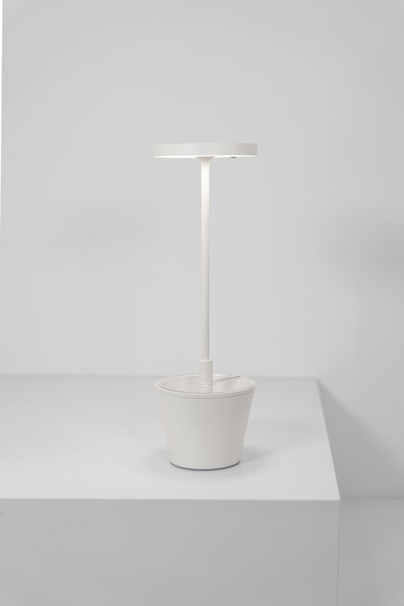 Zafferano LD0420B4 LED Table Lamp, White