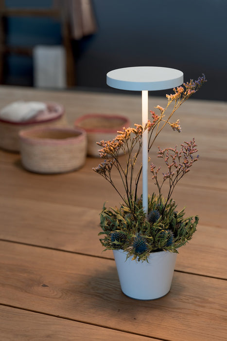 Zafferano LD0420B4 LED Table Lamp, White
