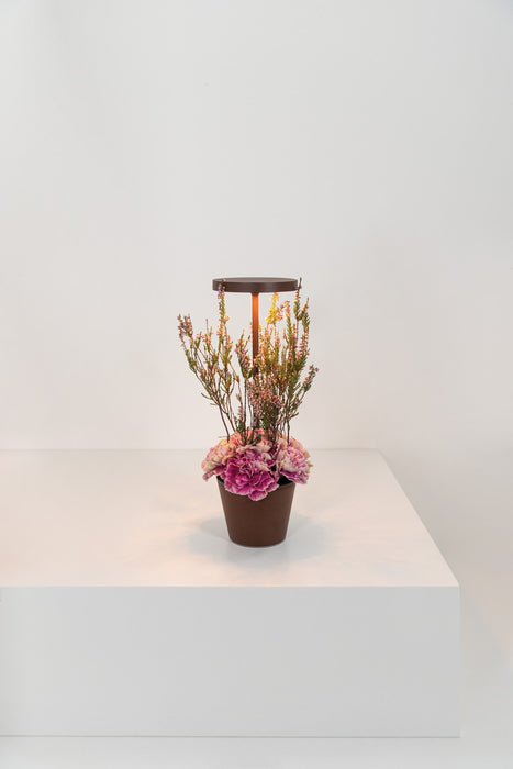 Zafferano LD0420R4 LED Table Lamp, Rust