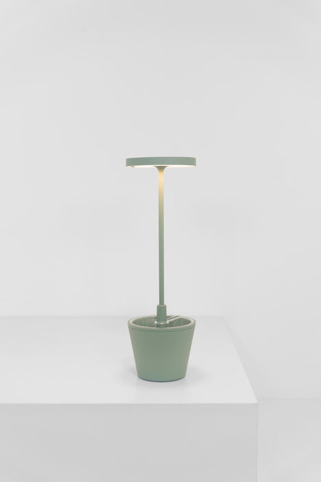 Zafferano LD0420G4 LED Table Lamp, Sage Green