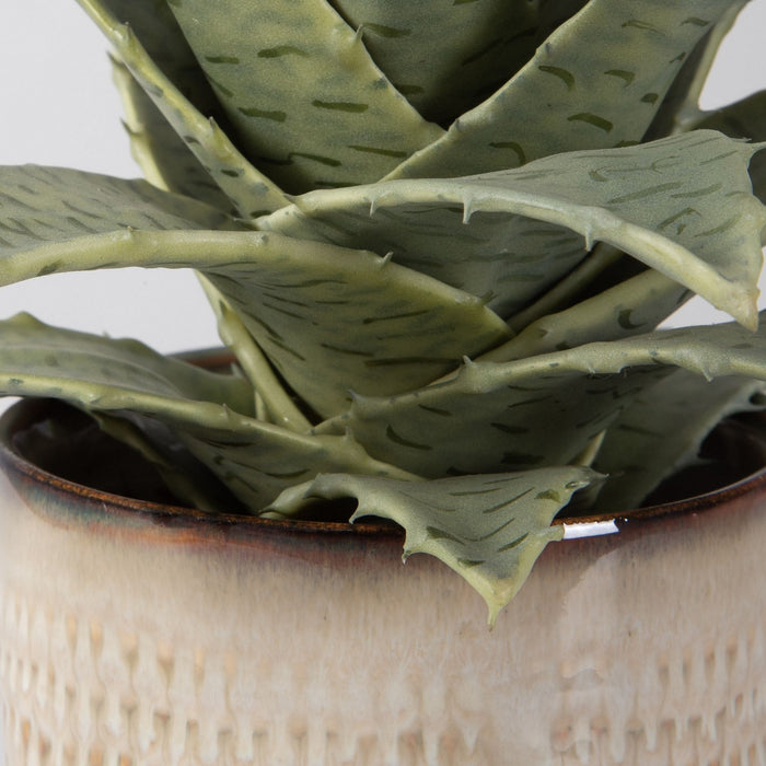 Uttermost 60208 Succulents, Set/2, Glazed In Neutral Tan