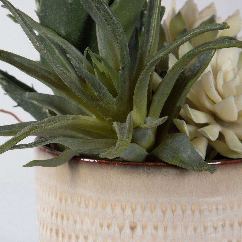 Uttermost 60208 Succulents, Set/2, Glazed In Neutral Tan