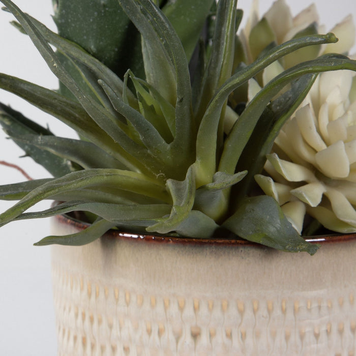 Uttermost 60208 Succulents, Set/2, Glazed In Neutral Tan