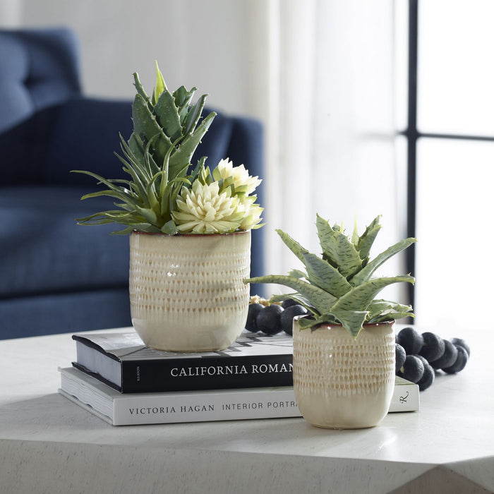 Uttermost 60208 Succulents, Set/2, Glazed In Neutral Tan