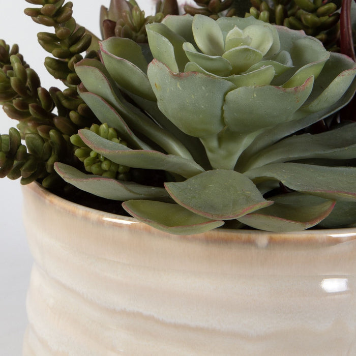 Uttermost 60209 Succulent Accent, Textured Tan