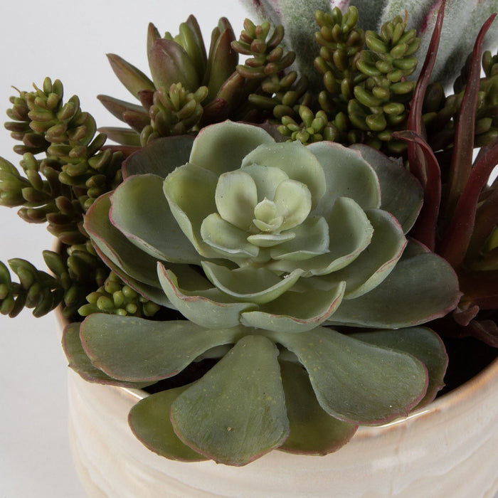Uttermost 60209 Succulent Accent, Textured Tan