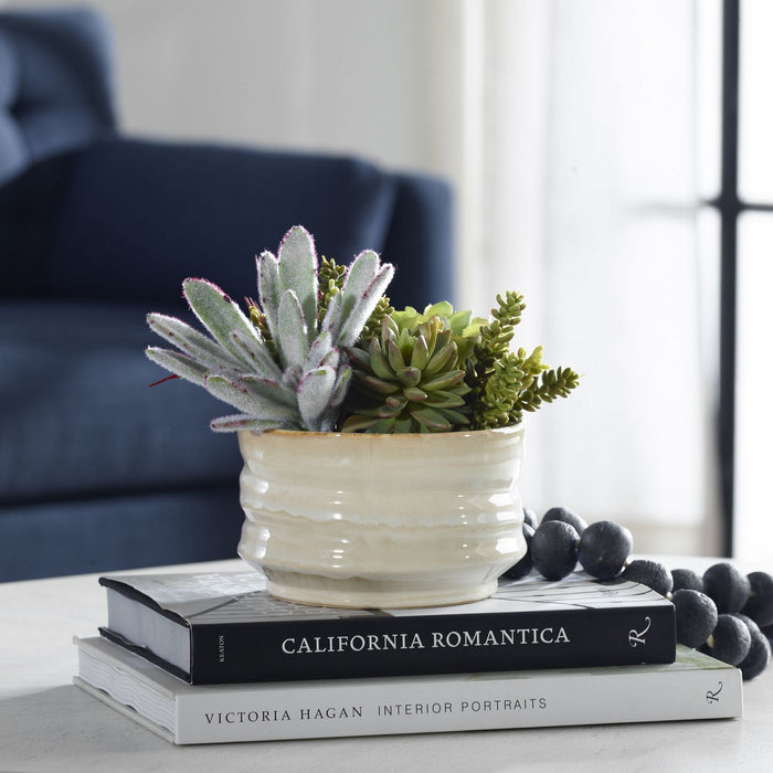 Uttermost 60209 Succulent Accent, Textured Tan