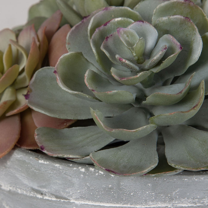 Uttermost 60212 Succulent Accent, Green And Burgundy Tones